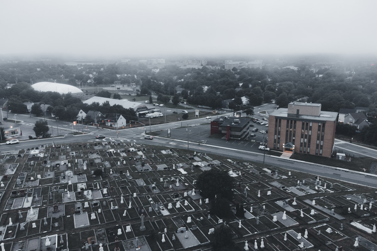 Bassetlaw