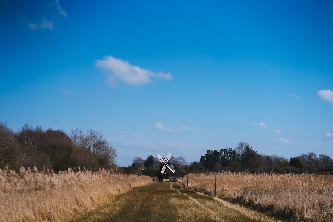 Fenland