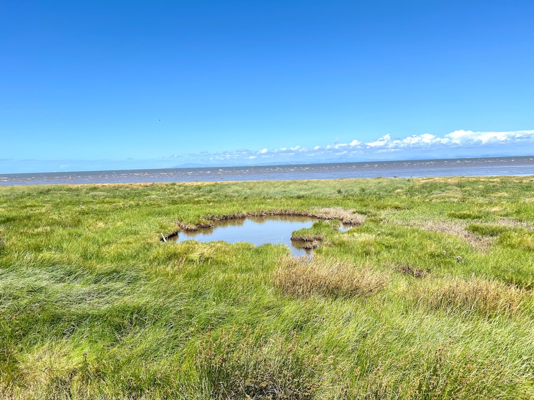 Fylde