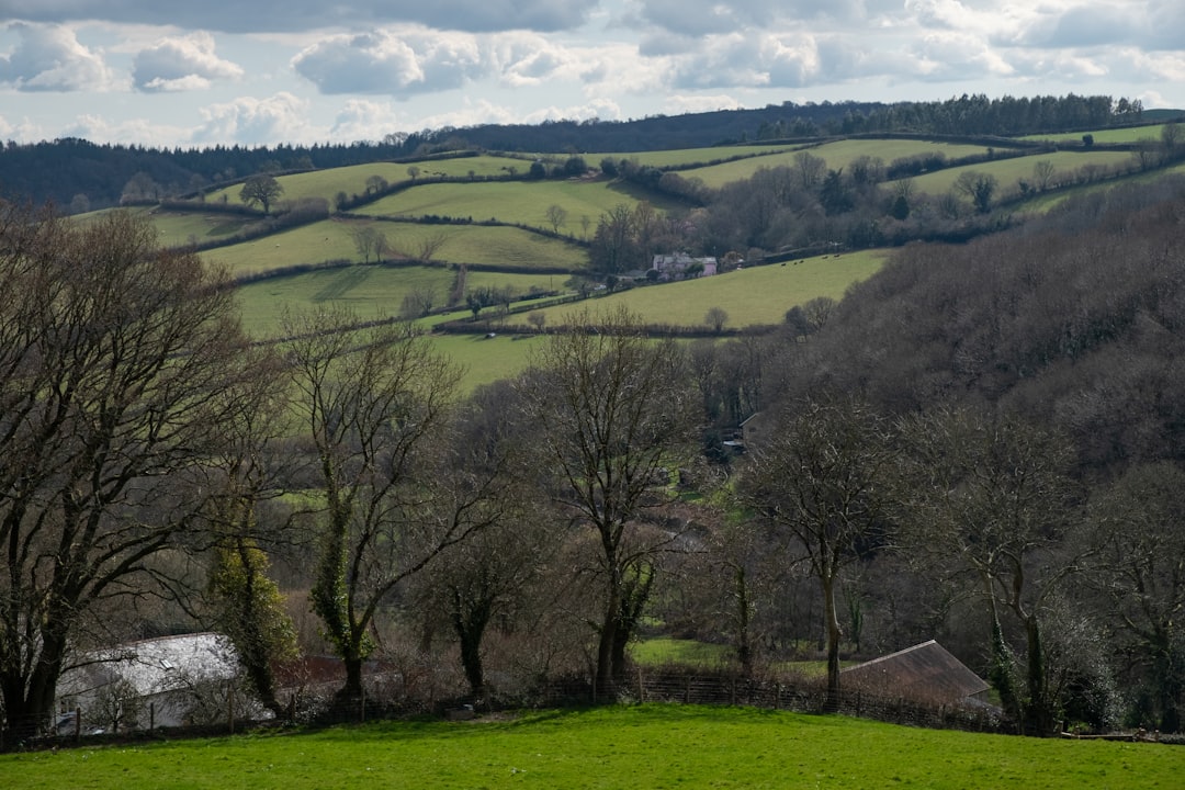 Mid Devon
