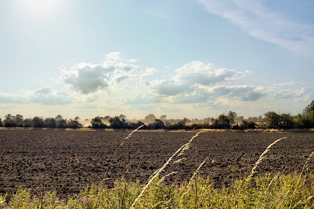 Mid Suffolk
