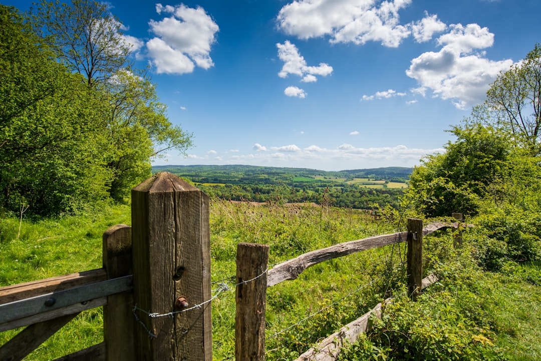 Mole Valley